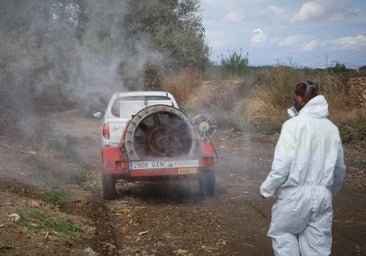 Andalucía records second West Nile virus fatality following death of 89-year-old Seville province resident