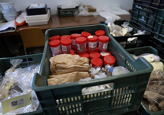 Material that has already been processed and sorted for delivery to the Malaga Museum.