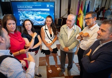 Malaga city council announces tender for future auditorium 'at the service of culture'