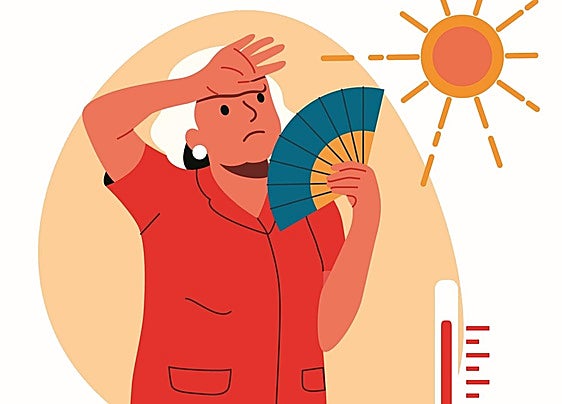 A practical guide to surviving a heatwave