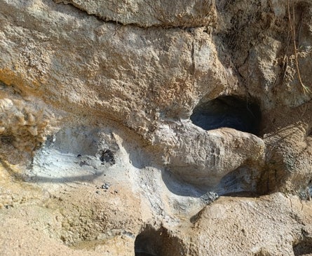 Imagen secundaria 1 - Mud deposits in Caños de Meca.