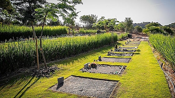 From dogs to birds and tortoises: Málaga’s pet cemetery has carried out over 700 burials