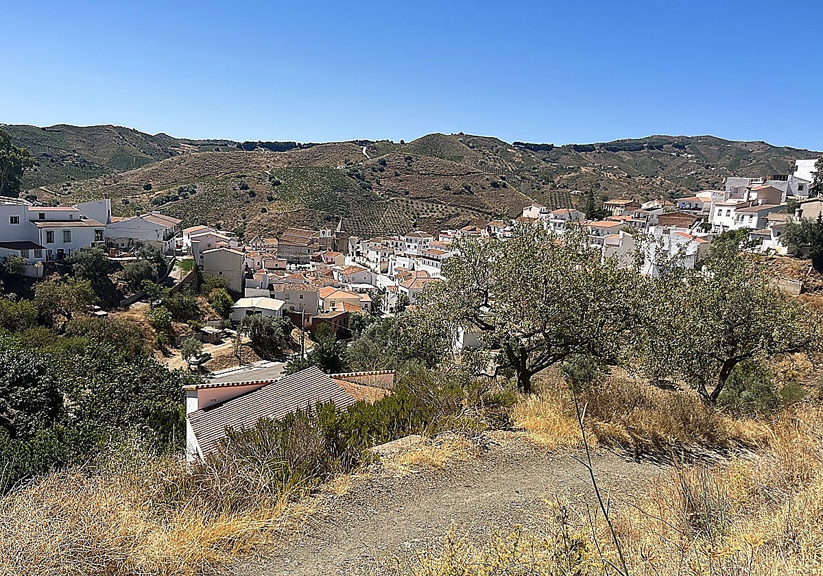 Axarquía villages demand improved bus service