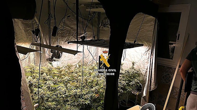 Malaga police dismantle cannabis laboratory in Torrox that produced oils, gummies and pills