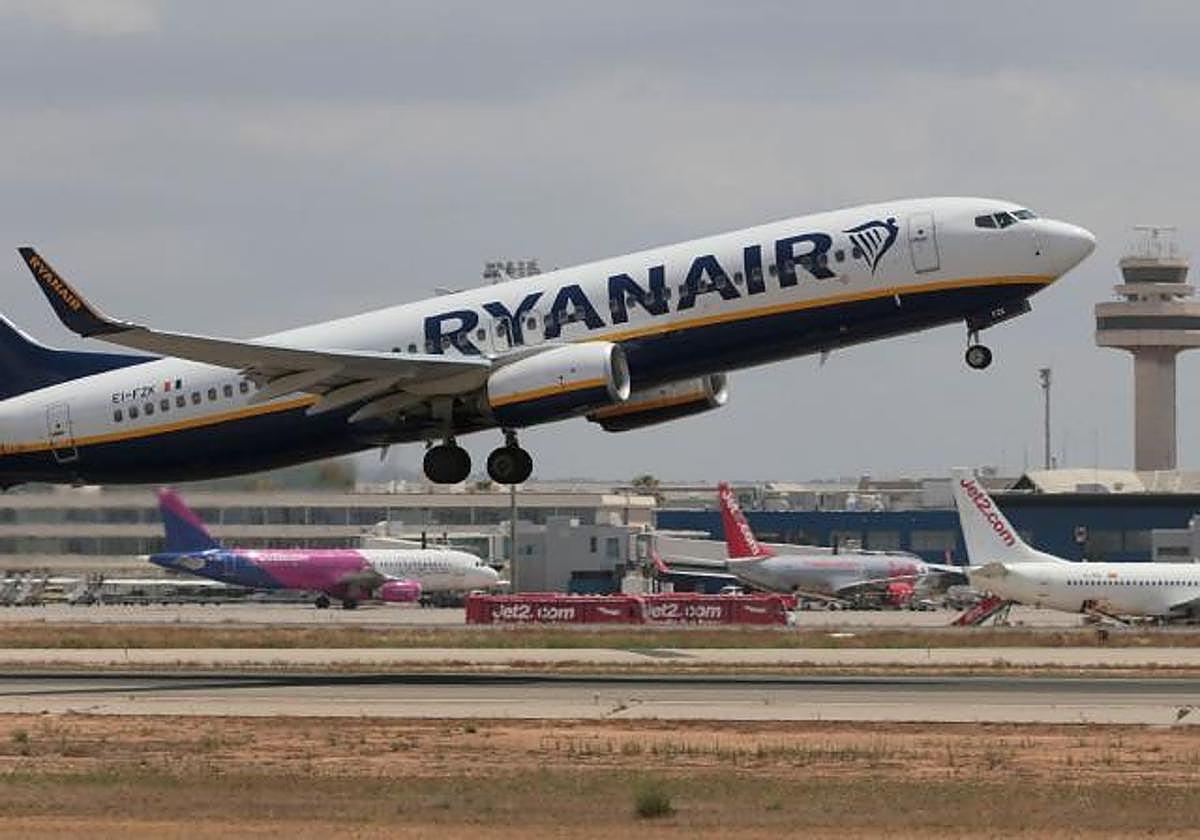 Briton arrested after trying to kiss air steward on flight to Mallorca