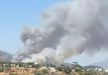 AP-7 toll motorway closed and homes evacuated due to wildfire in Benahavís