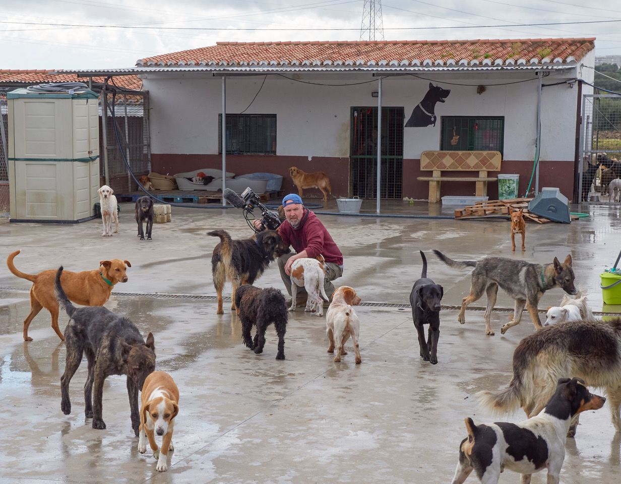 Imagen principal - Man films his first documentary after visit to Los Barrios dog shelter