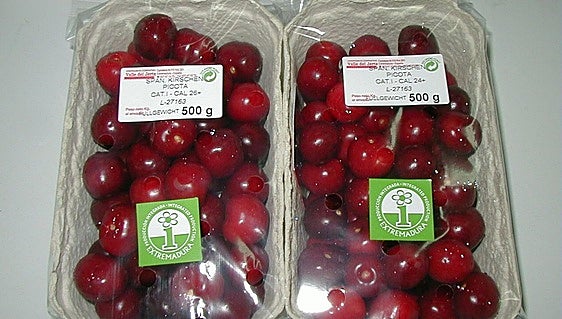 The cherry season