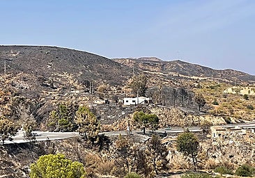 The origin of the hell that turned Los Gallardos into a death trap