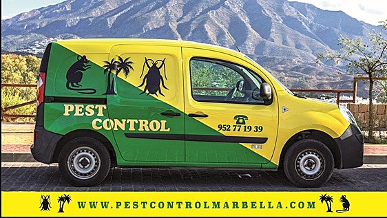 Pest Control: specialists with more than 50 years of experience