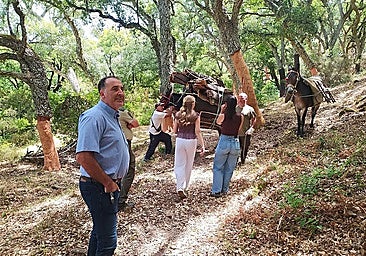 Juan Carlos González, Ronda’s Councillor for Forestry, during a visit to the cork harvesting operations in the El Berrueco area.