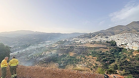 Axarquía wildfire causes around two million euros of damage to crops