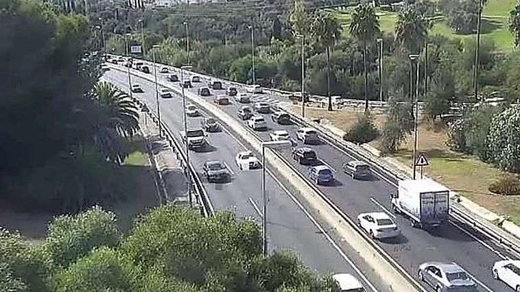 Driver gets fatally hit by car while getting out of his broken-down lorry on A-7 motorway in Marbella