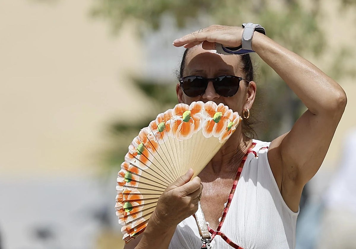 Malaga province could reach 45C with the return of the terral wind