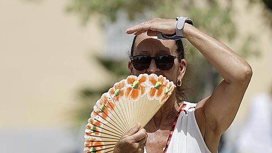 Malaga province could reach 45C with the return of the terral wind