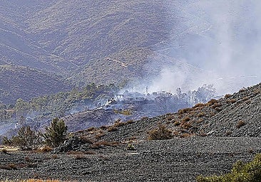 Wildfire-affected residents of Estepona, Benahavís and Archez can now apply for government support