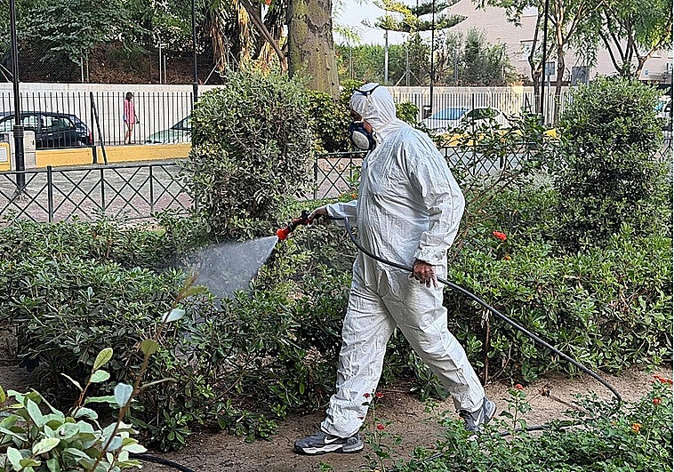 A worker fumigating a park in Mijas.