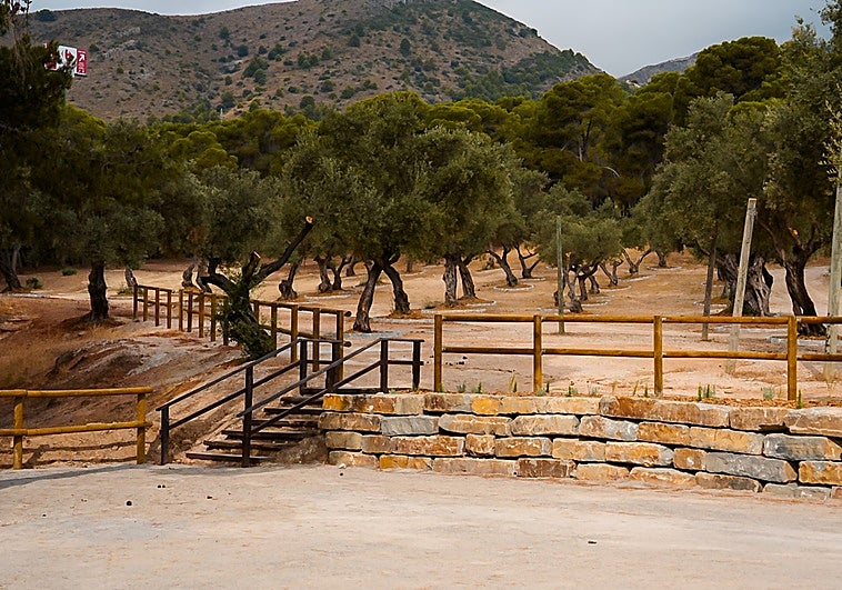 The project builds on the first phase completed last year.