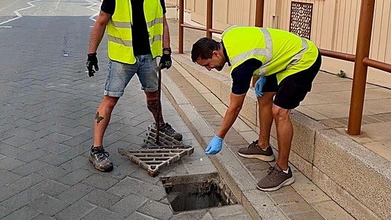 Gibraltar's Fight the Bite campaign: protecting against mosquito bites