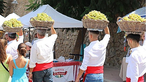 Celebrate the Axarquía's Muscat de Alexandria grape harvest