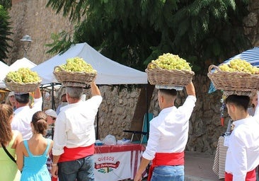 Fiesta de los Viñeros Moclinejo