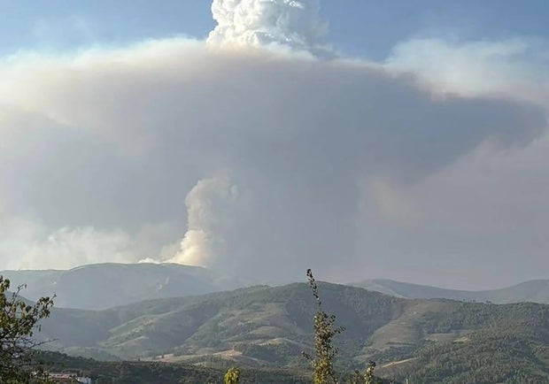 New western Spain fire destroys 1,600 hectares