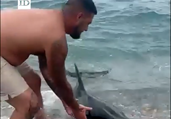 Beachgoers help a dolphin return to the sea on Granada's Costa Tropical