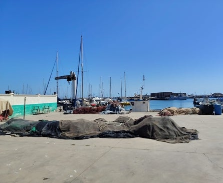 Imagen secundaria 1 - In the port.