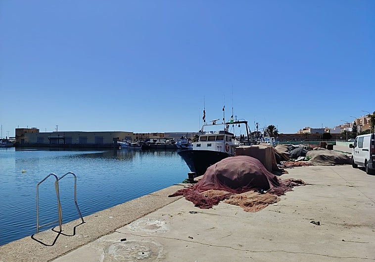 Imagen principal - In the port.