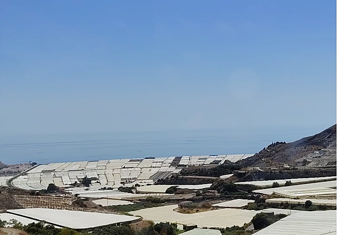 The surrounding area.