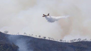 An aircraft involved in the firefighting operation in Benahavís.