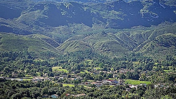 Prison sentence for couple who left their dog to die in their car in the blazing sun while they had lunch in a restaurant in Asturias