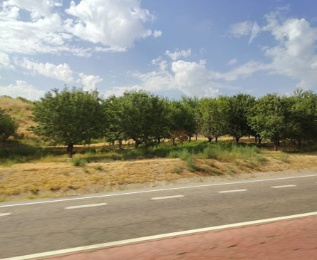Imagen secundaria 1 - Apples and harvesters.