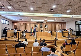 Vélez-Málaga town hall to go ahead with rubbish tax despite calls to suspend it