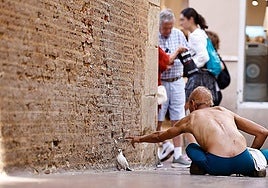 A man sitting on the ground on Calle Francisco de Rioja in Malaga.