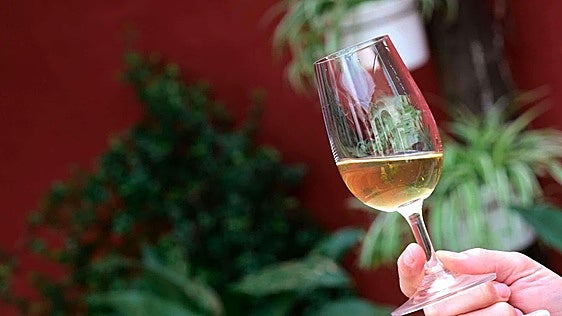 Huelva provincial authority backs the province's food and drink producers at SUR Wines & Gourmet 2026