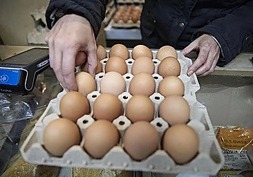 Batch of eggs.