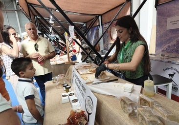 Degusta Jaén returns to SUR Wines & Gourmet with 15 participating companies