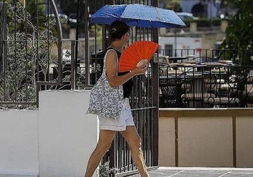 Malaga province heatwave intensifies, triggering amber warning for temperatures of up to 40C in the interior