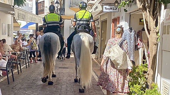 Five Marbella Local Police horses to retire and live out their years in not-for-profit sanctuary