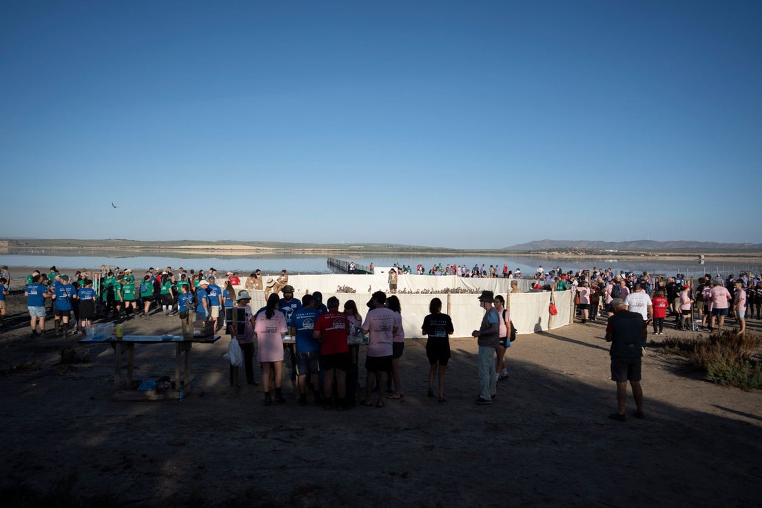 Fuente de Piedra community joins effort to ring 600 flamingo chicks