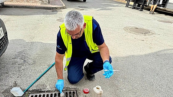 Andalucía declares Cártama under West Nile virus alert following detection of positive mosquito sample