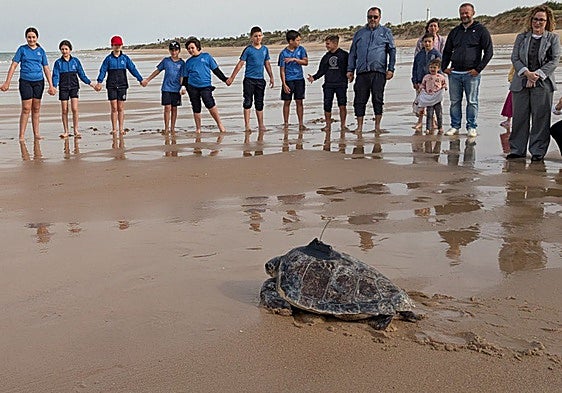 29 loggerhead turtles released into the Mediterranean Sea in Almeria province
