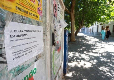 Advert for a flat to let in the area around the Traumatology Hospital.