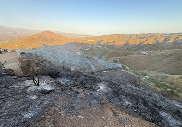 A picture of the area affected by the fire in La Fuensanta, El Borge.