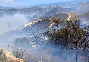Benahavís fire 'stabilised' and all residents can return to their homes