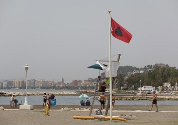Malaga opposition calls for quantification of losses the closure of beaches due to faecal bacteria this summer