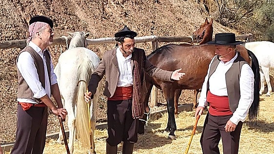 Villanueva de Tapia travels back to 1869 to relive the origins of its livestock fair