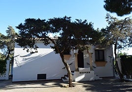 Specimen of coastal juniper in a tree pit, in an image from the study published in the journal Anales de Biología.