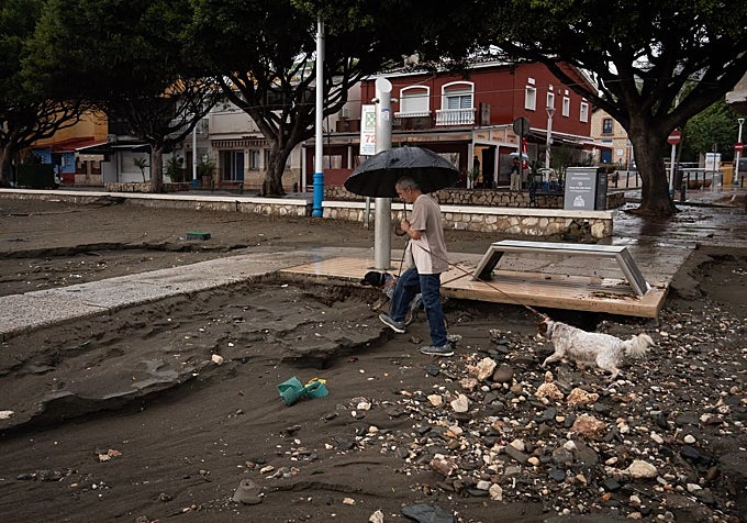 A person is walking their dog along the El Palo seafront promenade, which has been damaged by the storm.